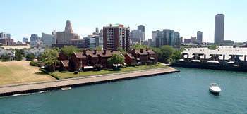 Buffalo